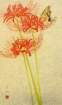 62 photo62_small.jpg